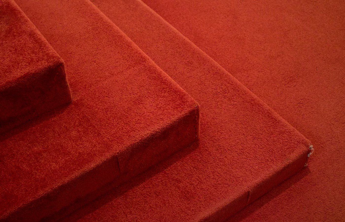 Équipe nettoie le tapis par extraction